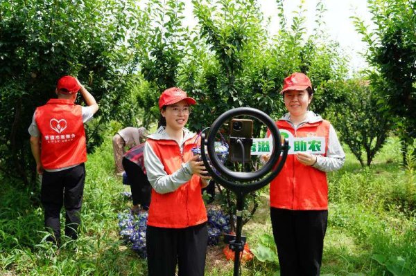 益上线 浙江舟山：金塘李搭上“香溢助农”共富列车