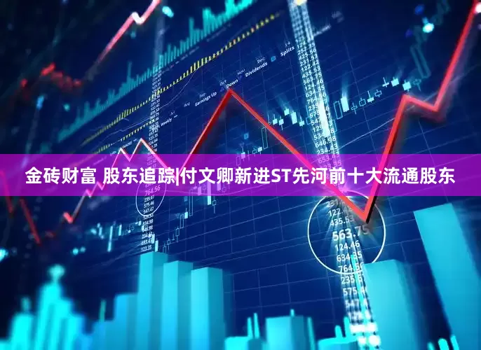 金砖财富 股东追踪|付文卿新进ST先河前十大流通股东